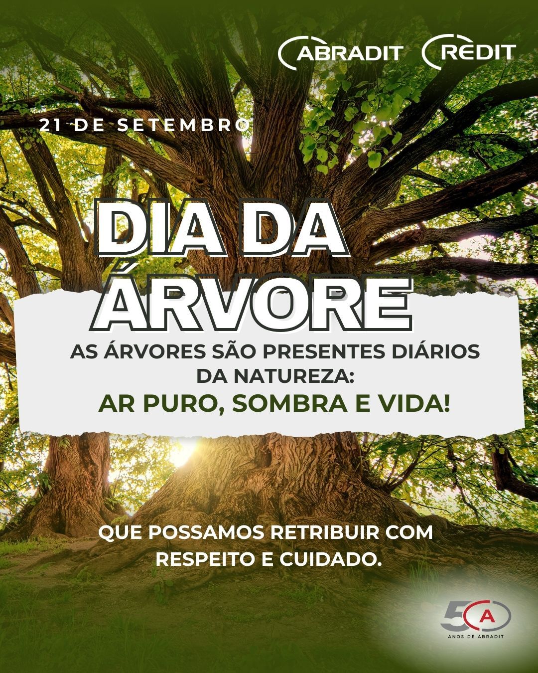 21 de Setembro – Dia da Árvore