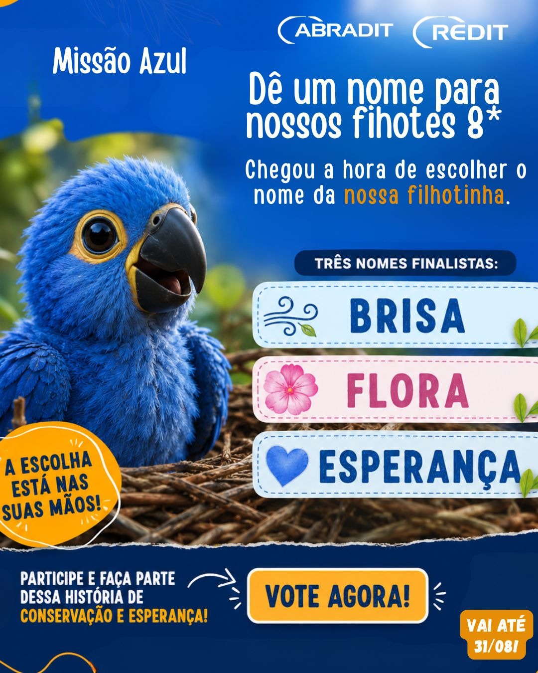 Votação Fêmea: Campanha dê um nome para nossos filhotes ano 8*