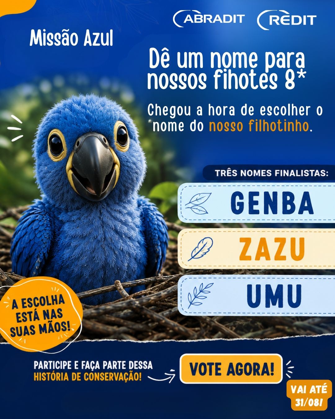 Votação Macho: Campanha dê um nome para nossos filhotes ano 8*